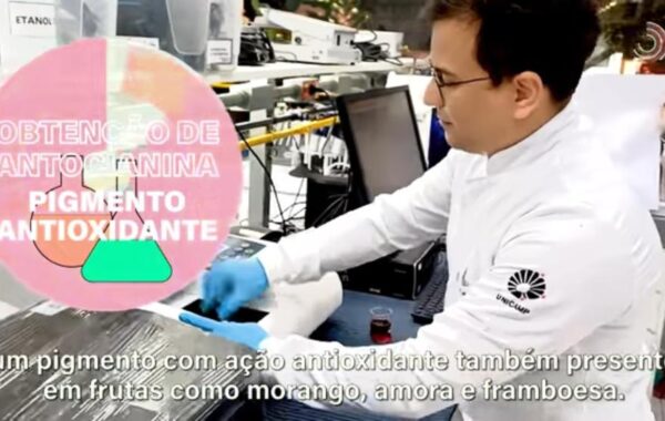 pigmento antioxidante