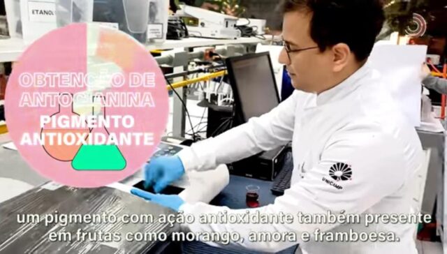 pigmento antioxidante