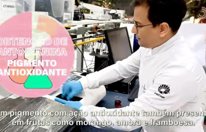 pigmento antioxidante