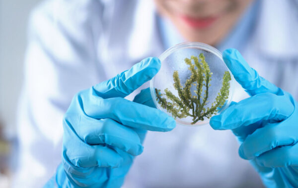 microbiologia-celular