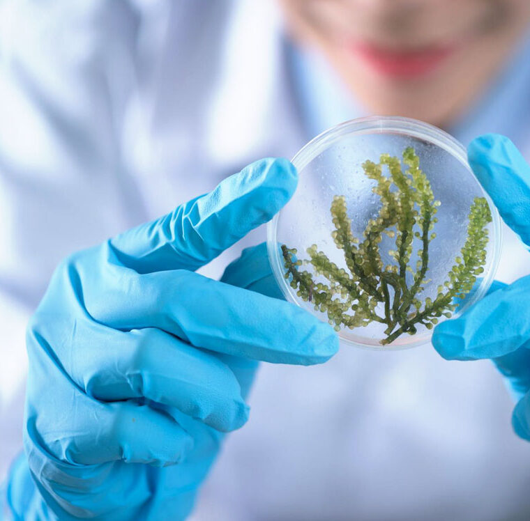 microbiologia-celular